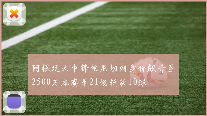 阿根廷大中锋帕尼切利身价飙升至2500万本赛季21场斩获10球
