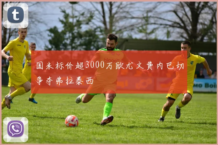 国米标价超3000万欧尤文费内巴切争夺弗拉泰西
