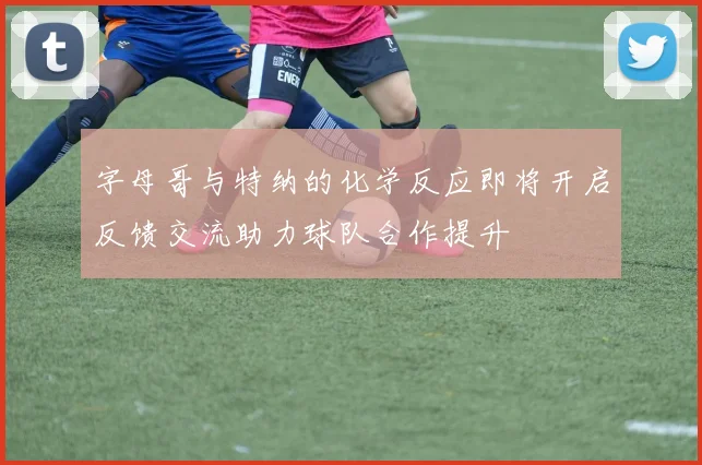 字母哥与特纳的化学反应即将开启反馈交流助力球队合作提升