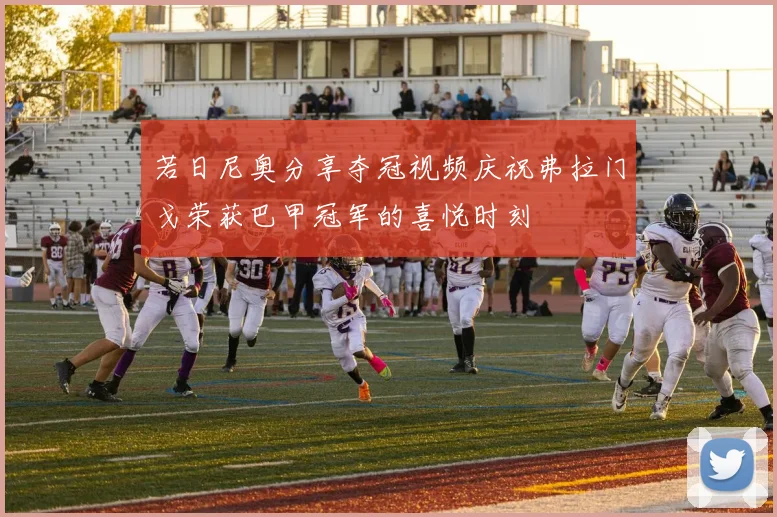 若日尼奥分享夺冠视频庆祝弗拉门戈荣获巴甲冠军的喜悦时刻