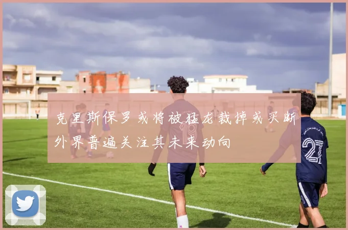 克里斯保罗或将被猛龙裁掉或买断外界普遍关注其未来动向